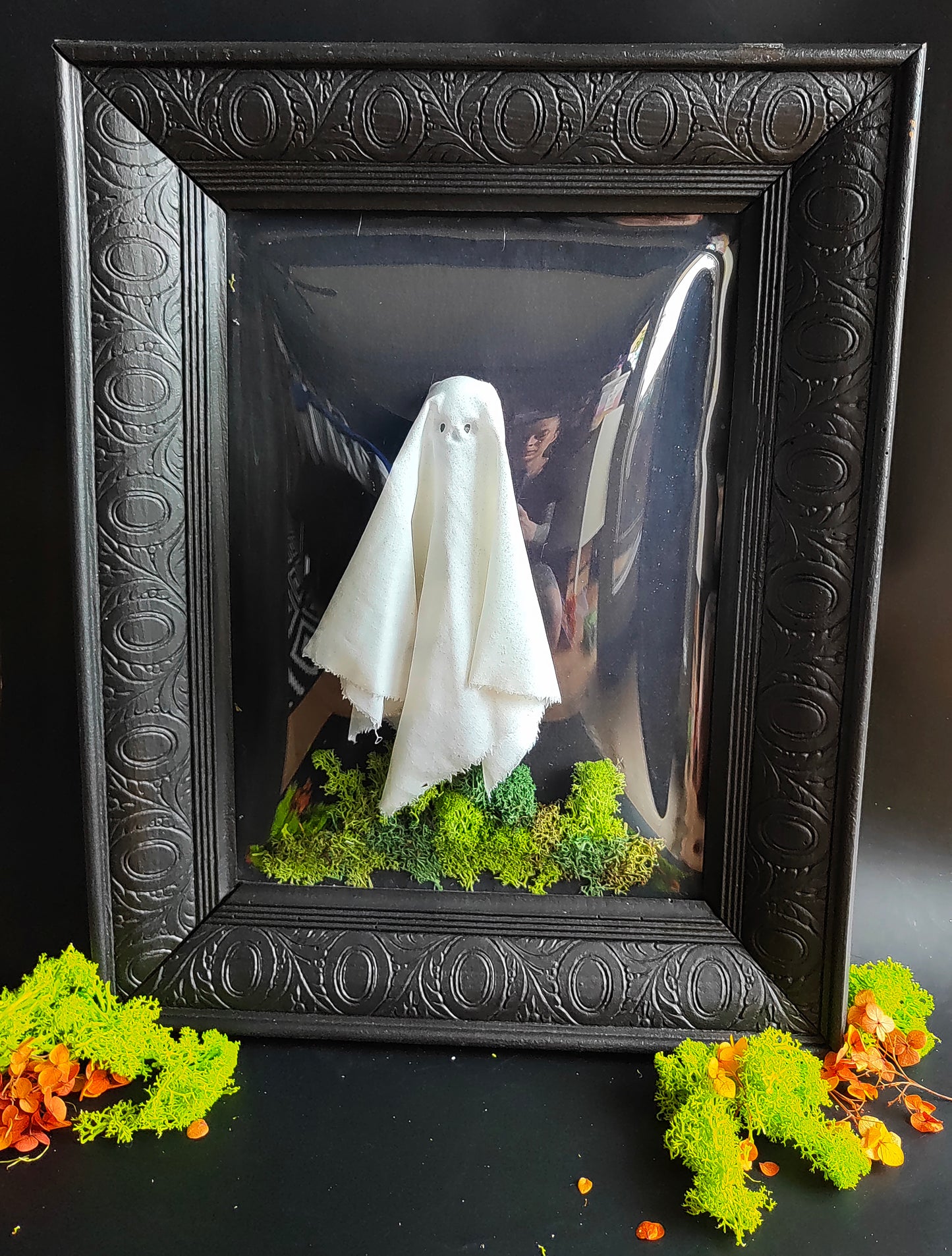 Vintage Domed Frame with Ghost Inside