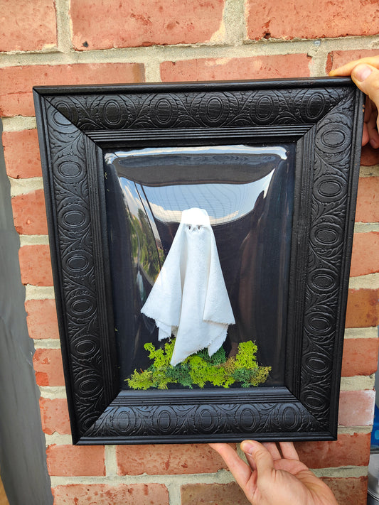 Vintage Domed Frame with Ghost Inside