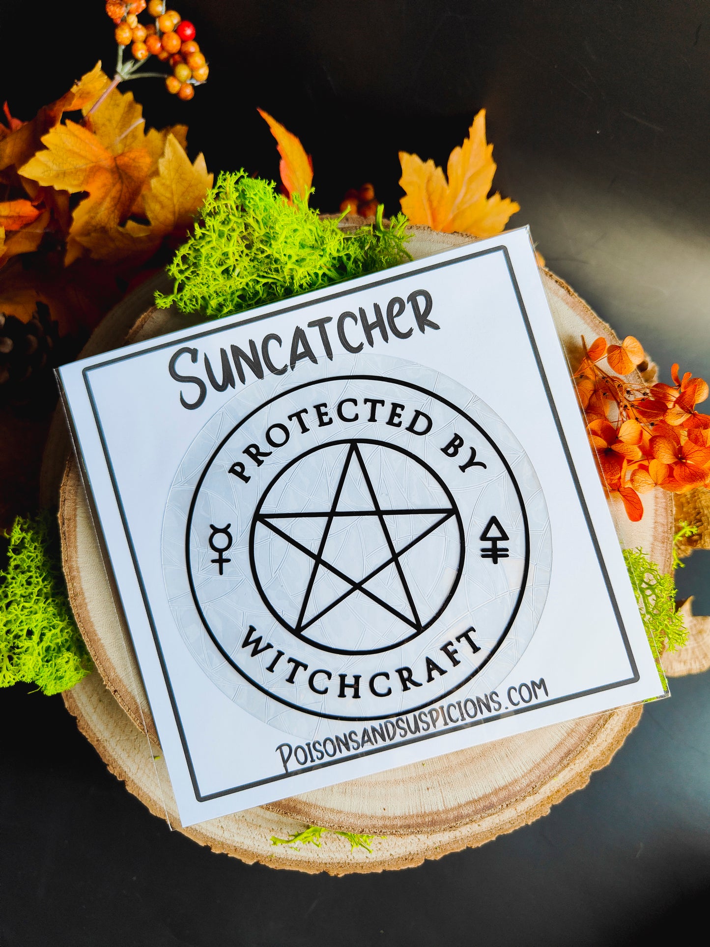 Sun Catcher "Protected by Witchcraft"