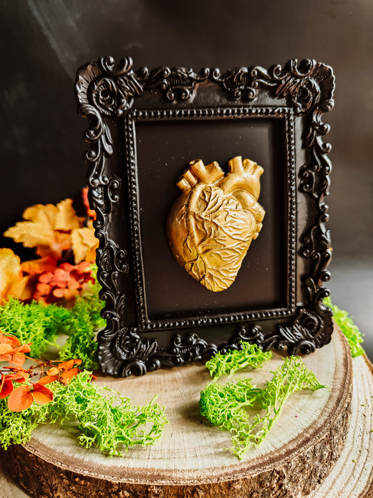 "Anatomical Heart" Frame