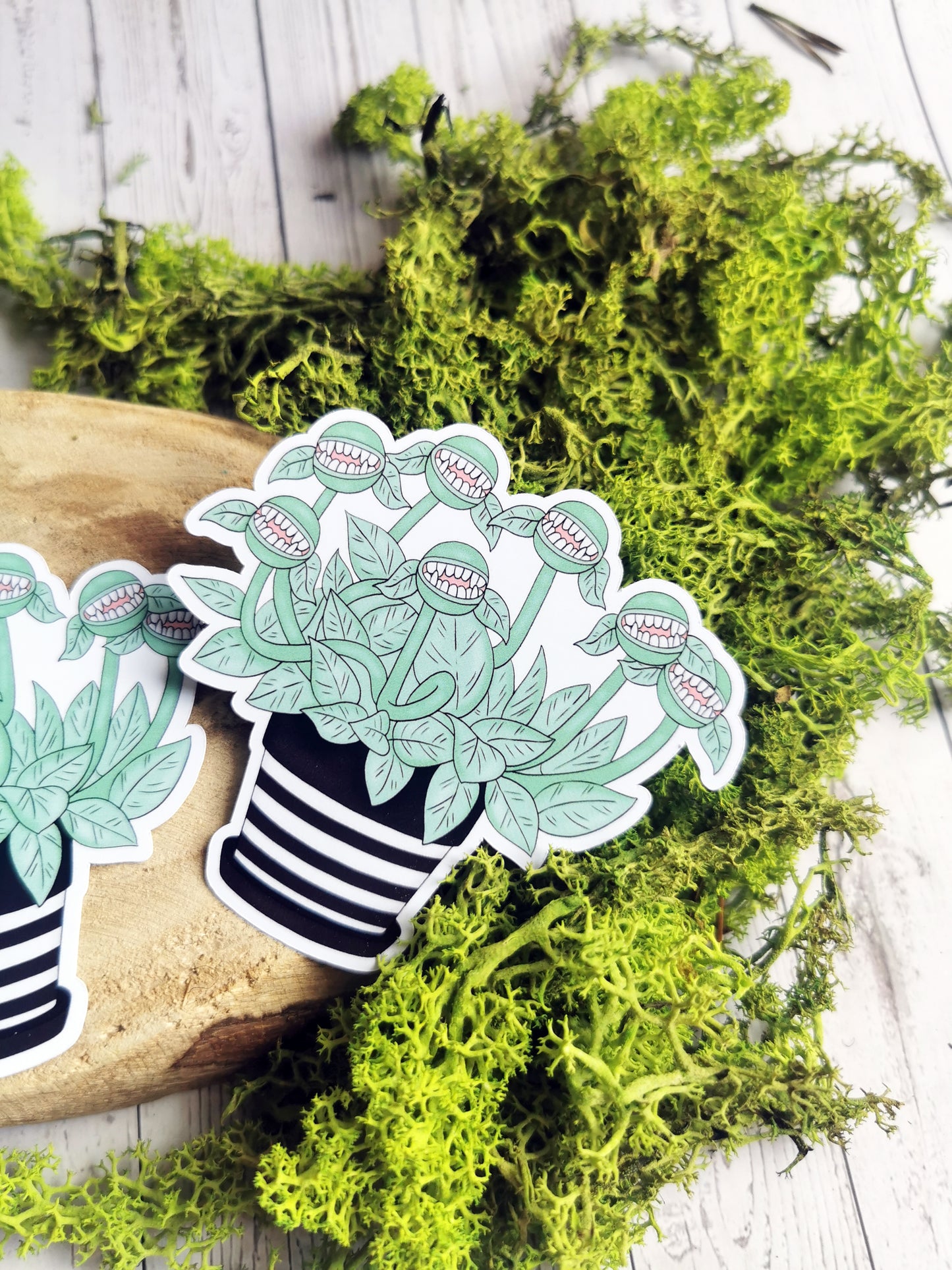 “Carnivorous Plant” stickers