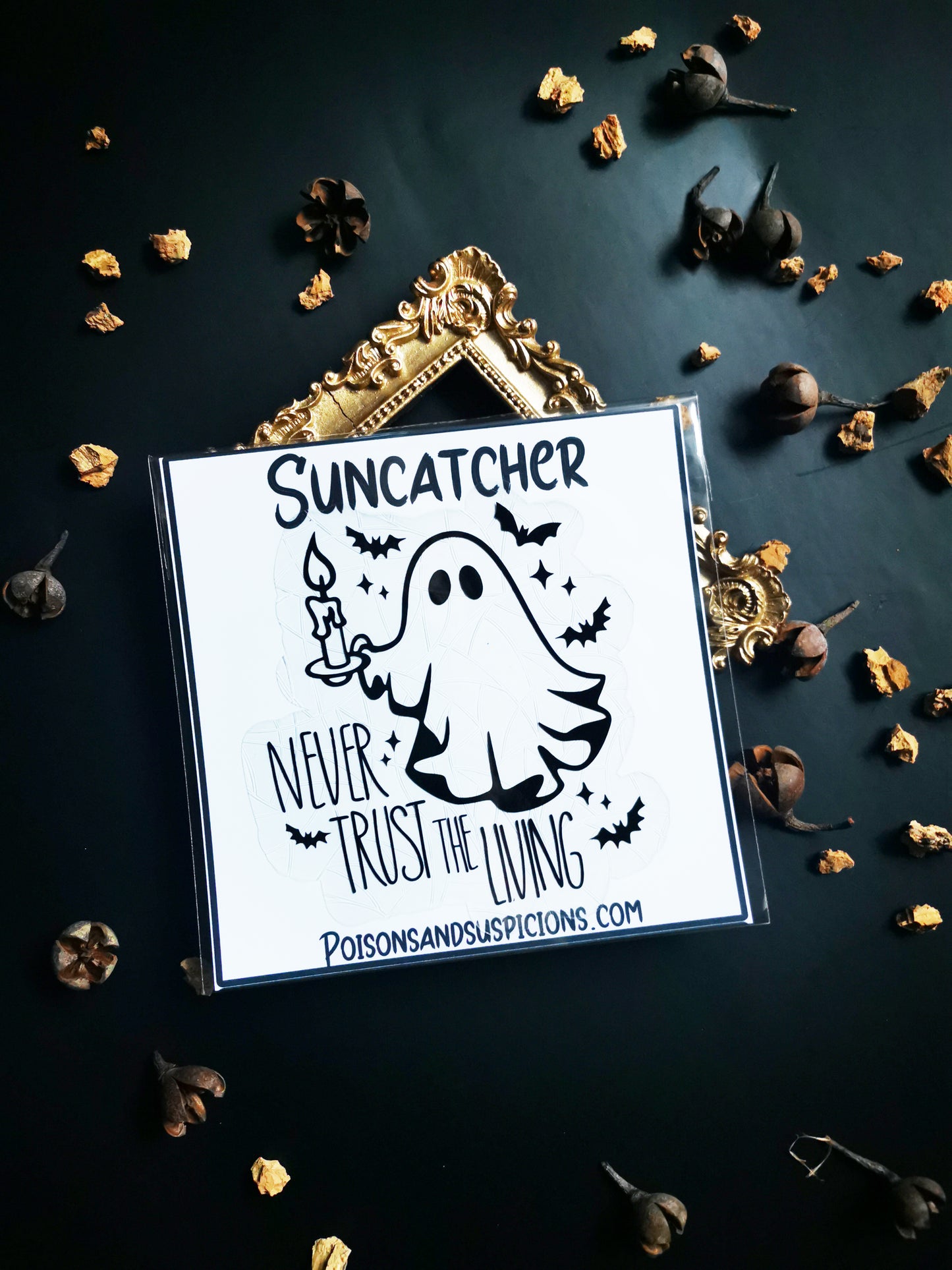 Sun Catcher "Ghost, Never Trust"