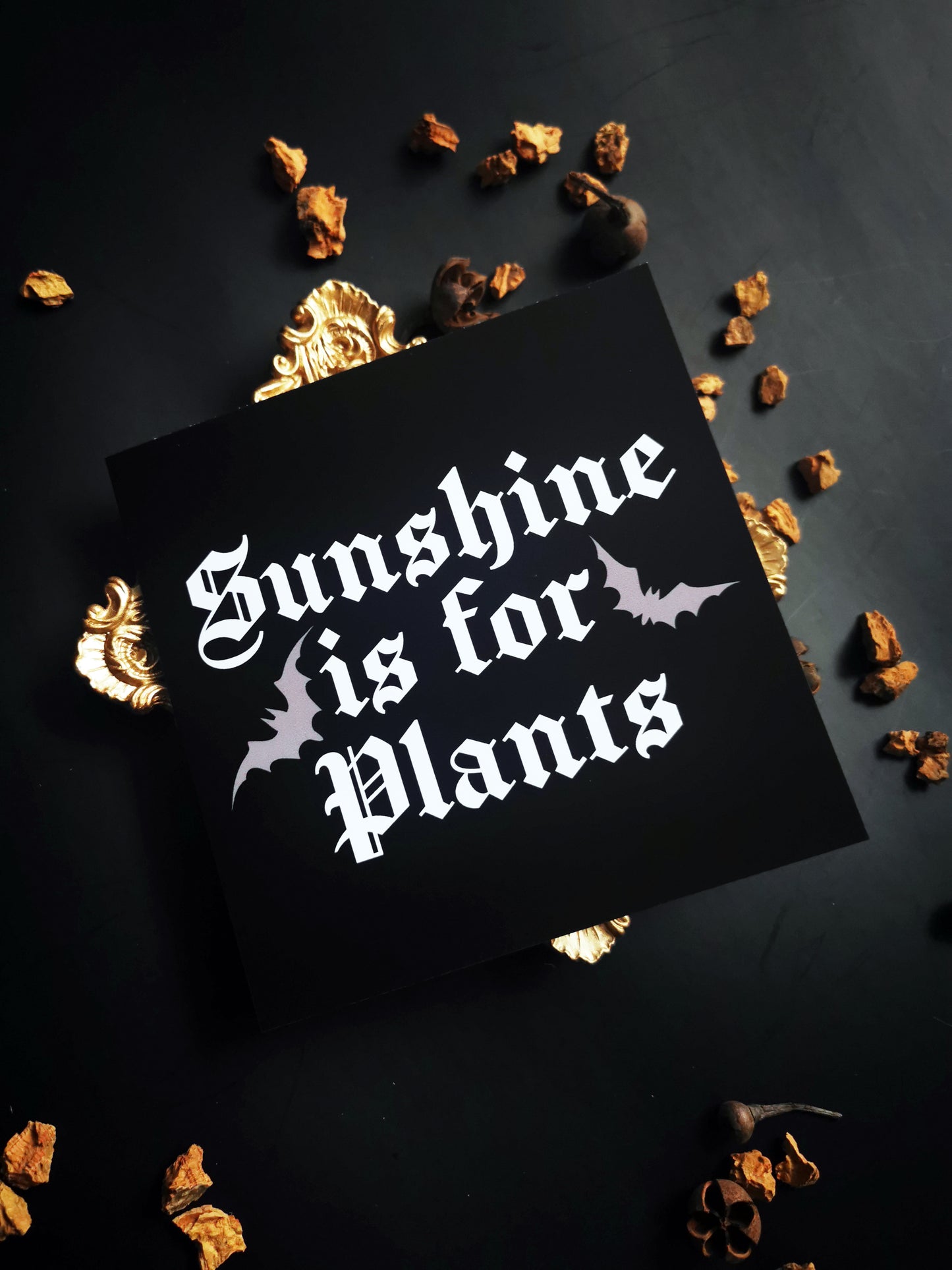 Greeting Card "Sunshine is for Plants"