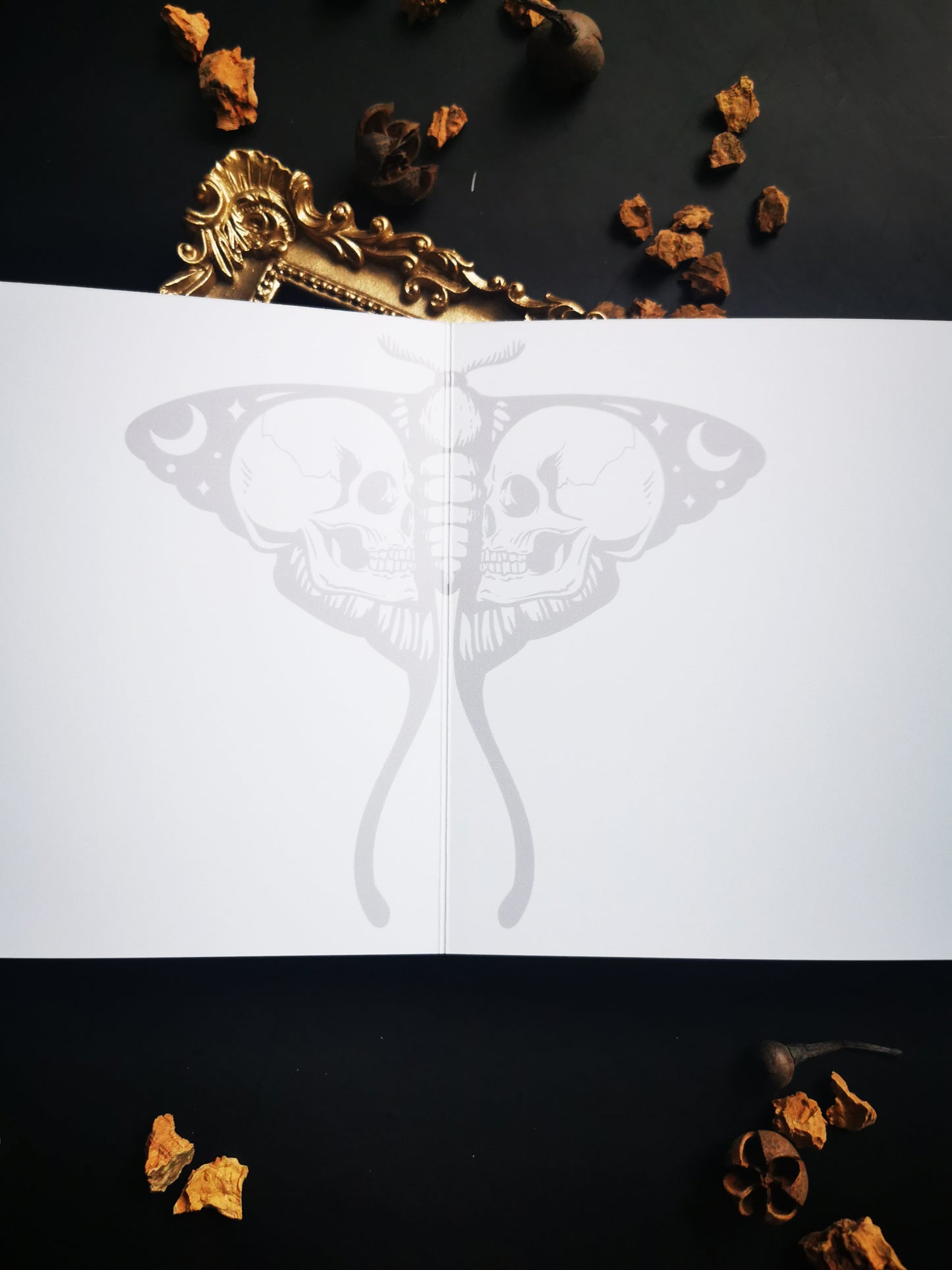 Carte de Voeux "Skulls Moth"