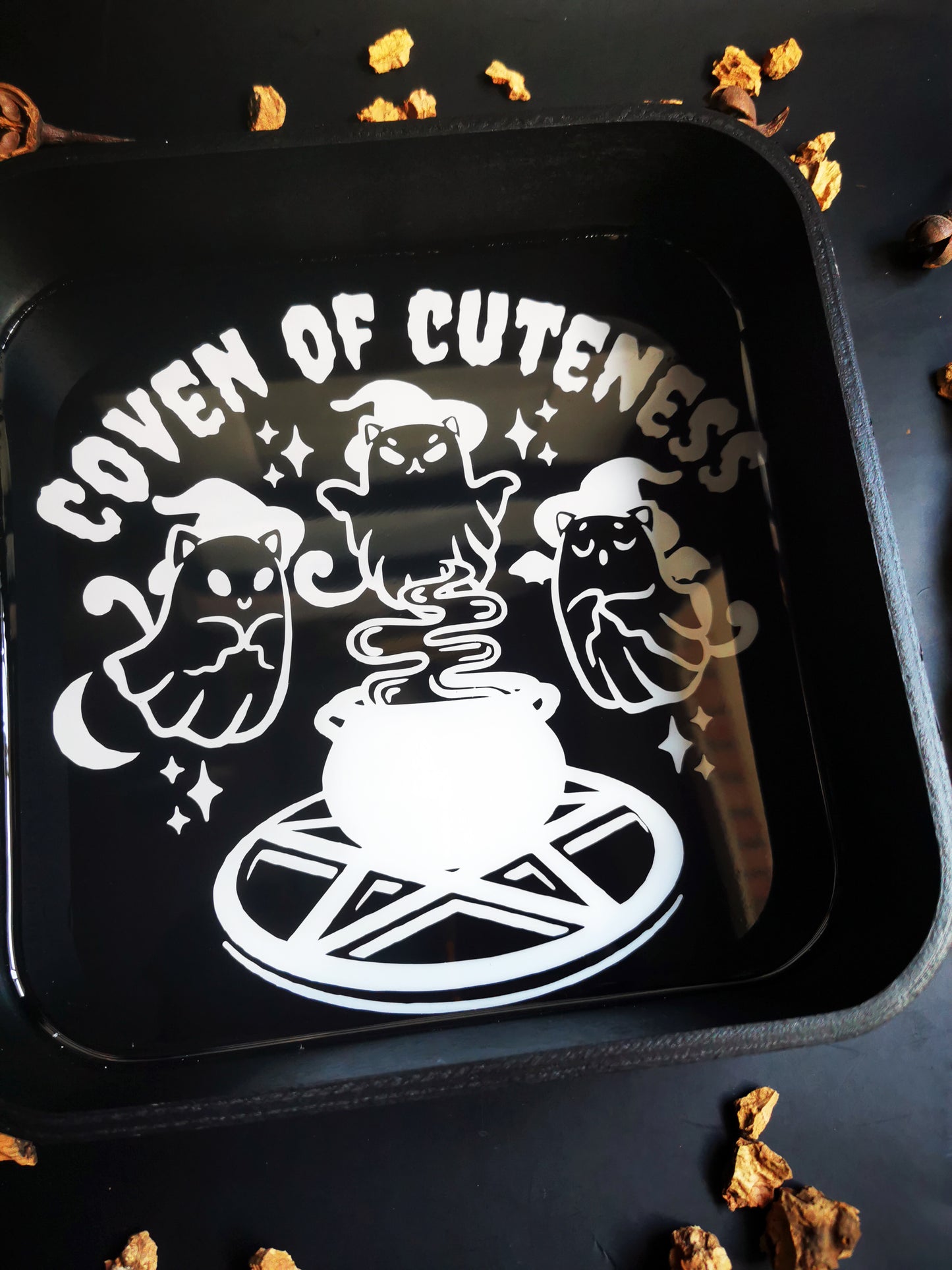 Plateau Noir "Coven of Cuteness"