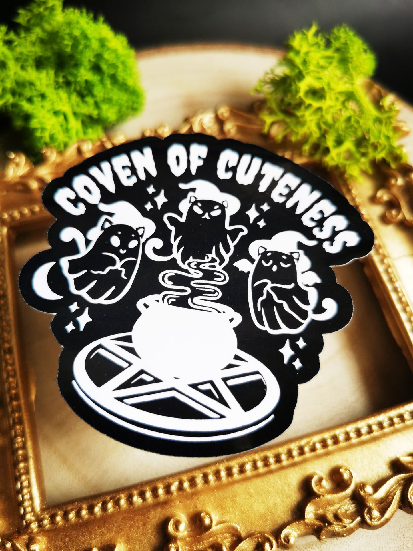 Stickers "Kitty Coven" Black Or Pink