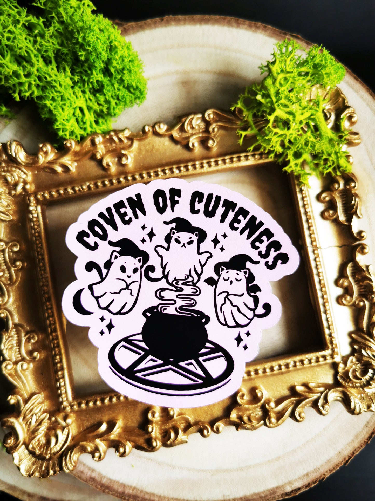 Stickers "Kitty Coven" Black Or Pink