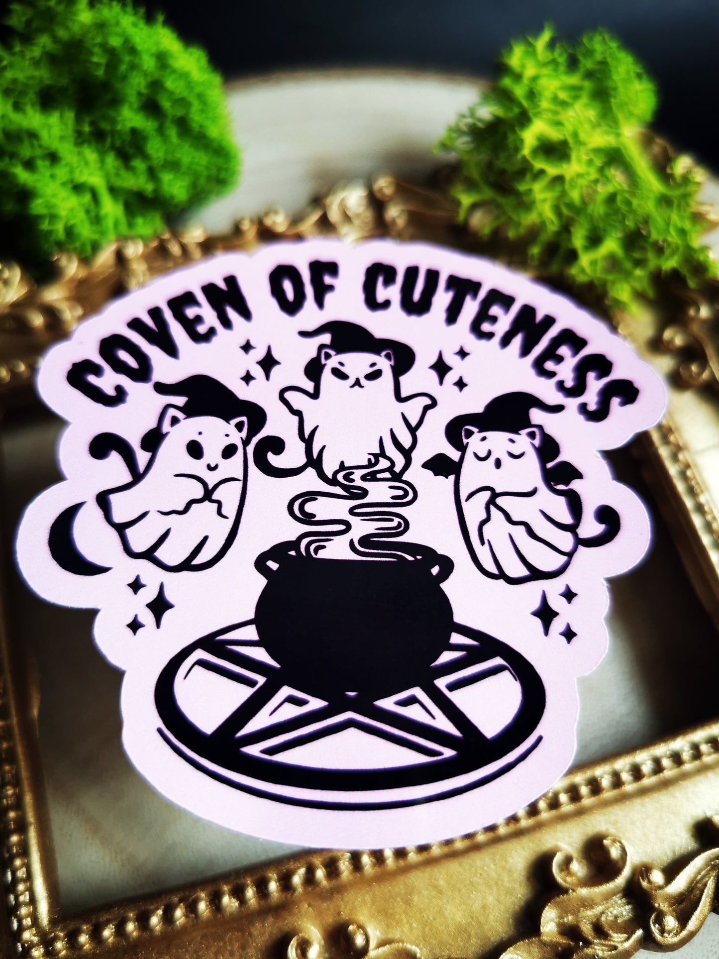 Stickers "Kitty Coven" Black Or Pink