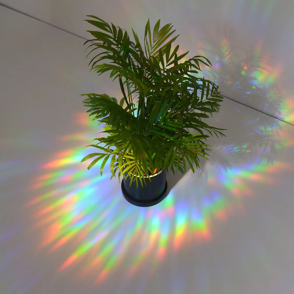 Attrape Soleil Holographique "Alien Fleurs"